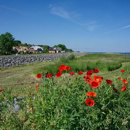 Mit Terrasse In Ruhiger Lage - Haus Suedperd Duenenrose Lejlighed Thiessow